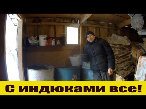 Видео: Хорошая и плохая новость - индюков больше нет! Что осталось в хозяйстве и чем занят!