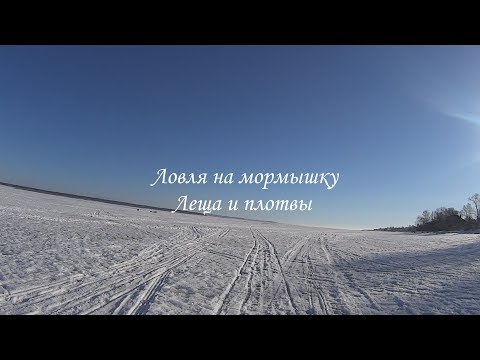 Видео: Зарисовки о рыбалке: Ловля леща и плотвы на мормышку. Река Обва