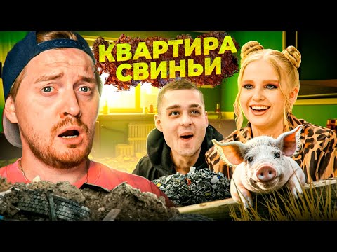 Видео: Богиня сыска - Квартира свиньи