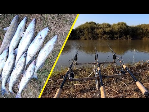 Видео: Рыбалка на НУРЕ.   Ловля судака на малька.