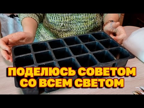 Видео: СУПЕР ИДЕЯ ДЛЯ РАССАДЫ ЖАЛЬ РАНЬШЕ НЕ ЗНАЛА / ПЕРВЫЕ ПОСЕВЫ@obovsemsmarusya