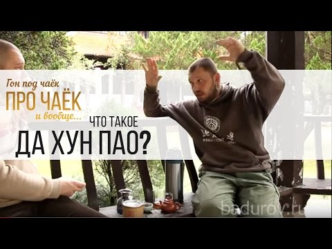 Видео: Что такое Да Хун Пао