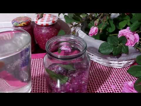 Видео: РОЗОВЫЙ ЛИКЕР из Лепестков ЧАЙНОЙ РОЗЫ. Рецепт.