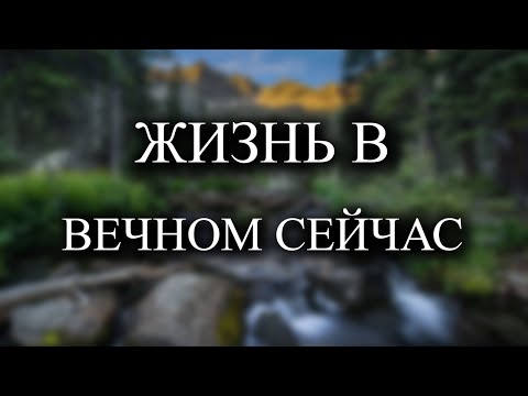 Видео: В настоящем моменте нет проблем