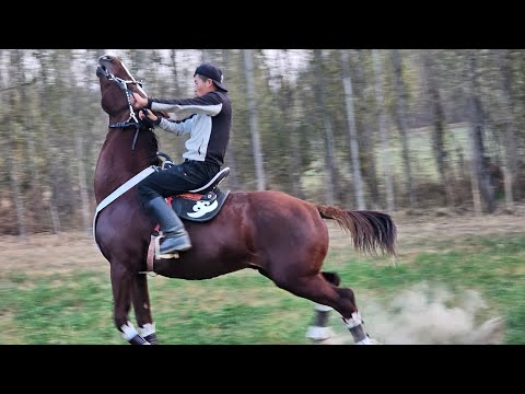 Видео: Мына атты жеткен АЛАТ