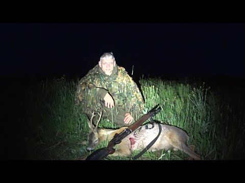 Видео: Охота на косулю с гладким. Бекас-Авто, Фонарь Armytek Viking и Wizard #охотанакосулю #охотасгладким