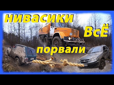 Видео: Нивасики порвали ВсЁ