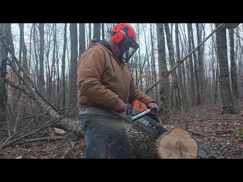 Видео: Обзор пилы Holzfforma G372XP: первый раунд, полевые испытания и первые пропилы