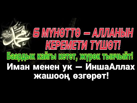 Видео: 6 мүнөттүк дуба — Алла жүрөгүңө тийген учур!