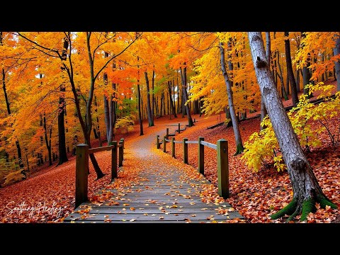 Видео: Красивая расслабляющая музыка 🌿 Перестаньте думать слишком много, музыка для снятия стресса 🍁 Нежн