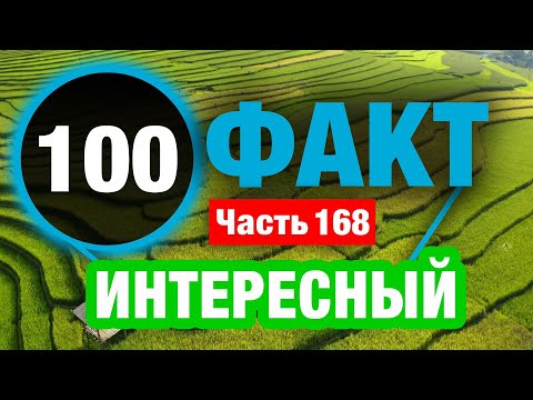 Видео: 100 Факт, Который Доказывает   Мир невероятен