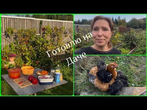 Видео: Готовлю на даче прозапас 🤣 цыплята орлы 🥹 #цыплята #еда #обзор #любовь #рецепт #shortvideo #food 