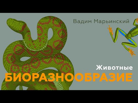 Видео: Животные. Естествознание 8.6