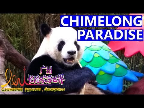 Видео: Китай. Гуанчжоу. Chimelong Paradise - Самый Большой Парк Развлечений в Китае. Сафари Парк и Цирк