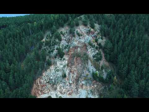 Видео: Заколдованный лес