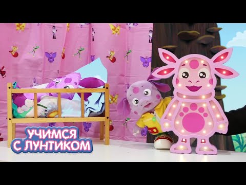 Видео: Учимся с Лунтиком | Салон красоты и бистро | Сборник новых серий