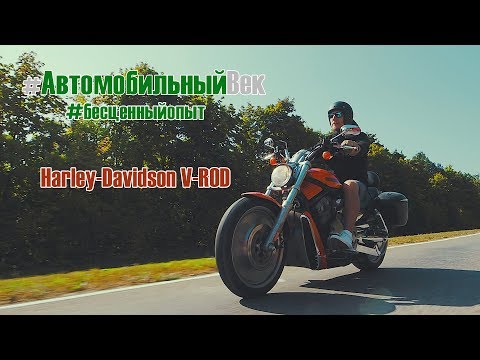Видео: Harley-Davidson V-ROD. Отзыв владельца. Морковка из Японии