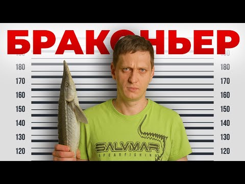 Видео: Почему подводная охота — это зло?