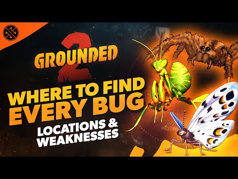 Видео: Grounded 2 — где найти каждого жука, его ресурсы и слабые стороны