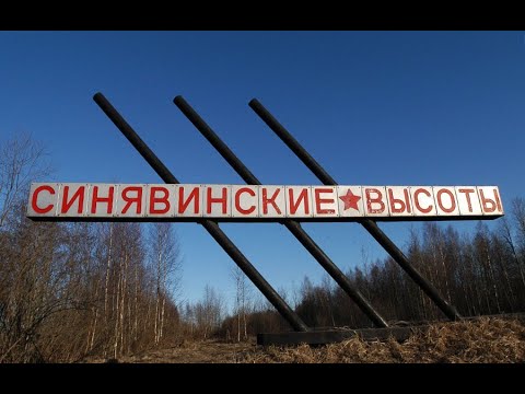 Видео: Поиск солдат РККА