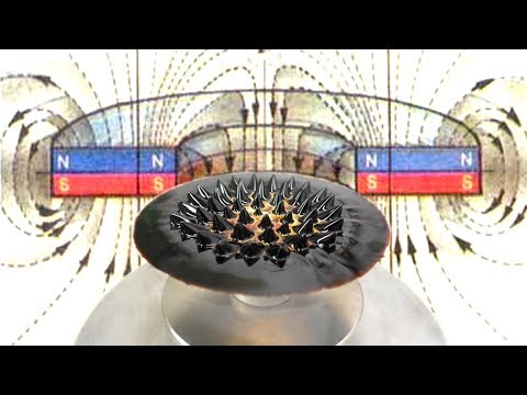 Видео: 🌑 ЗАГАДКИ МАГНИТНОГО ПОЛЯ Как оно себя ведет Парадокс Фарадея Игорь Белецкий