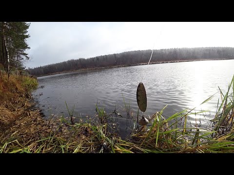 Видео: ЭКСТРЕМАЛЬНАЯ РЫБАЛКА НА РЕКЕ НЕЙВА! ДЕДОВСКИЕ РЕЗИНКИ, ПОПЛАВОЧНЫЕ УДОЧКИ! С ЖИВЦАМИ НА ЩУКУ! СНЕГ!