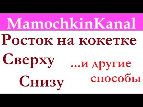 Видео: Росток на кокетке Виды вязания ростка Сверху, снизу и другие Вязание крючком