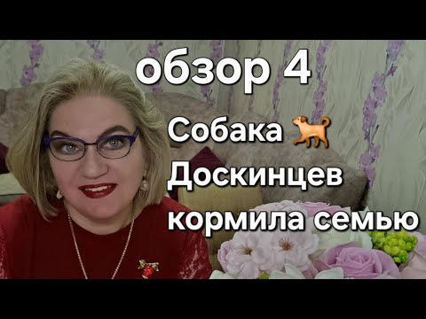 Видео: Собака 🐕 ДОСКИНЦЕВ кормила семью❗️