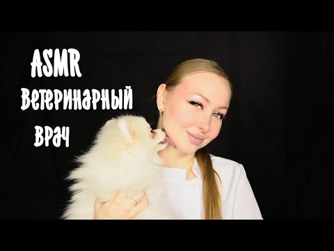 Видео: ASMR Ветеринарный врач для Юки / Асмр Ветврач /  Поставлю прививку /  Ролевая игра / roleplay game