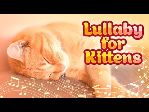 Видео: Колыбельная для кошек ♬ Расслабляющая музыка для сна с умиротворяющей кошачьей фортепианной музыкой