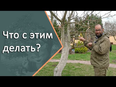 Видео: Секреты обрезки. Как определить проводник, если их три одинаковых.