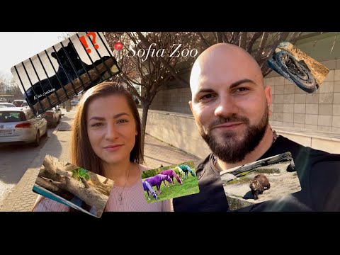 Видео: Разходка в зоопарк София “Sofia Zoo”:видяхме цветен кон 😮🐴🎨