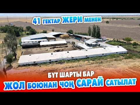 Видео: Бардык ШАРТЫ бар чоң САРАЙ 40 гектар айдоо ЖЕРИ менен САТЫЛАТ ~ Полтавка айылы, Трассага жакын турат