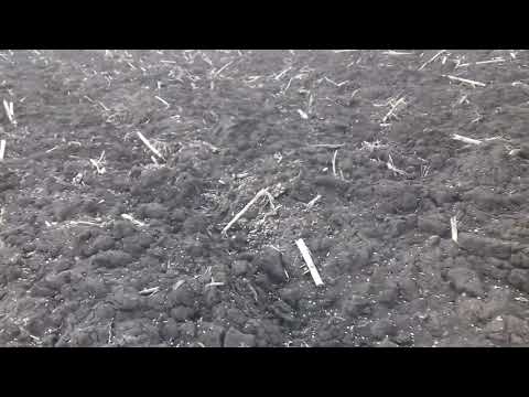 Видео: Закриття вологи 2020р.