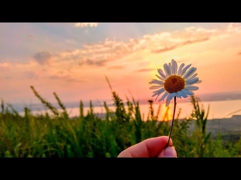 Видео: ЛЕТНИЙ ПЛЕЙЛИСТ / АТМОСФЕРА ЛЕТА