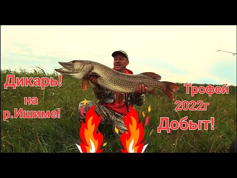Видео: Дикарь!!! На Ишиме! Трофей Добыт!!! Огромная Щука в Казахстане!