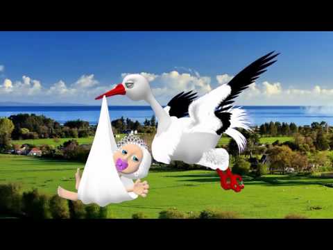 Видео: Выписка из роддома. Валерия заказ 8-9270684734