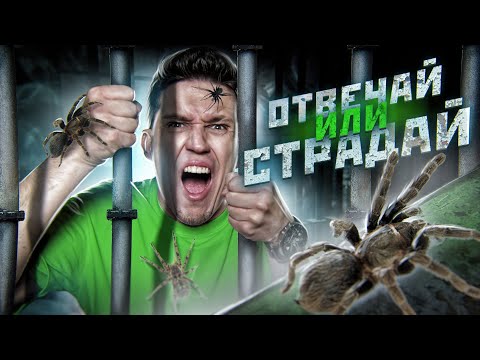 Видео: ЭКСТРЕМАЛЬНЫЙ ОТВЕЧАЙ ИЛИ СТРАДАЙ ЧЕЛЛЕНДЖ! ДАВА в ШОКЕ!