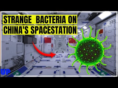 Видео: Китайская космическая станция подверглась атаке загадочных бактерий