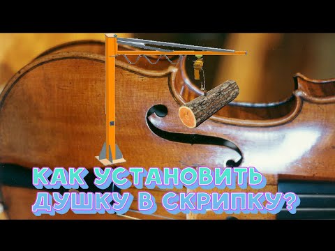 Видео: Как установить душку в скрипку?