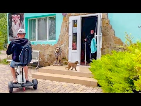 Видео: Вот это ДА! Люся знает где детский сад и сама в него БЕЖИТ, а Маня УДРАЛА из дома!