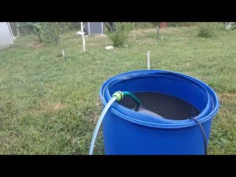 Видео: Интересно торене на домати