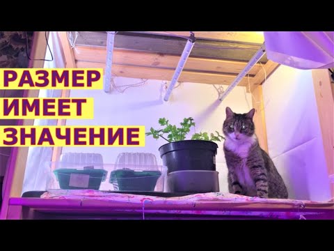 Видео: Как обустроить место для рассады?