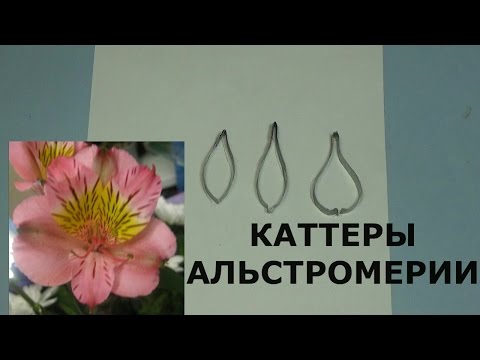 Видео: ИЗГОТОВЛЕНИЕ КАТТЕРОВ ДЛЯ ЛЕПКИ ЦВЕТОВ ЧАСТЬ 2