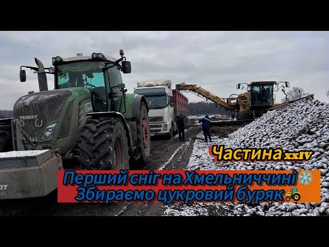 Видео: Перший сніг на Хмельниччині!Збираємо цукровий буряк 2024!