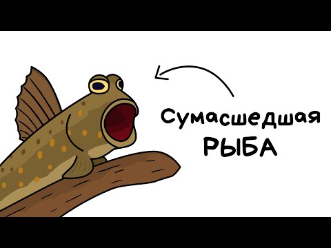Видео: Ты - Илистый Прыгун (И ЭТО ПОЛНЫЙ ОТСТОЙ)