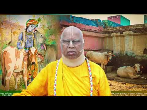 Видео: 2025 октября 31 | Джапа  - Е.С. Локанатха Свами