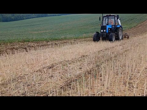 Видео: Сезон дискування 2024 відкрито. Белорус 892 з АГД 2.5.