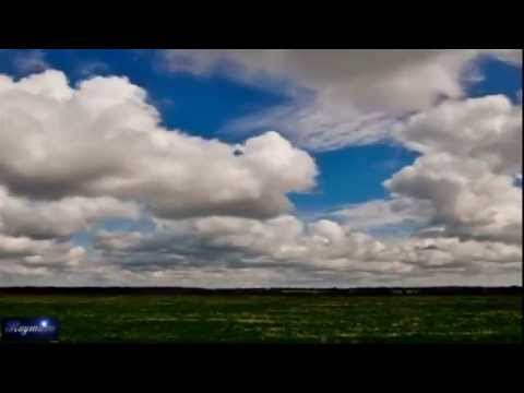 Видео: Плыли облака домой   Николай Парфенюк
