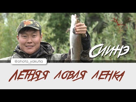 Видео: Летняя ловля ленка! Приток реки Сиинэ.